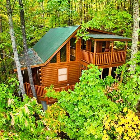Views, Game Room And Hot Tub Bearway To Heaven Sevierville Eksteriør bilde