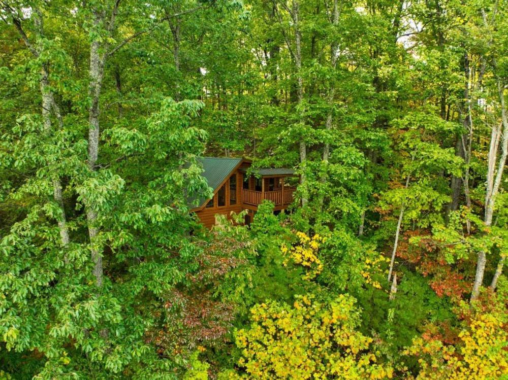 Views, Game Room And Hot Tub Bearway To Heaven Sevierville Eksteriør bilde